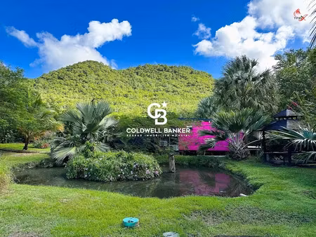 vente maison 30 pièces 968 m² à le diamant (97223)  5 995 000 €