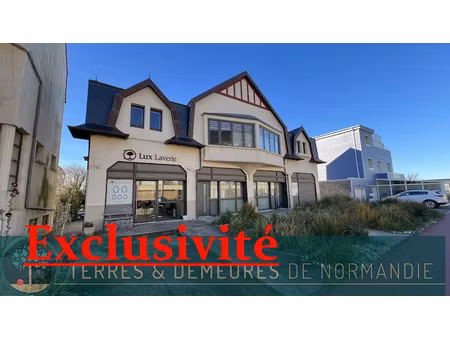 vente immeuble 0 pièces 155 m² à criel-sur-mer (76910)  892 500 €