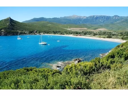 vente terrain 2362 m² à pietracorbara (20233)  371 000 €