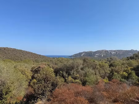 vente terrain 1440 m² à porto-vecchio (20137)  280 000 €