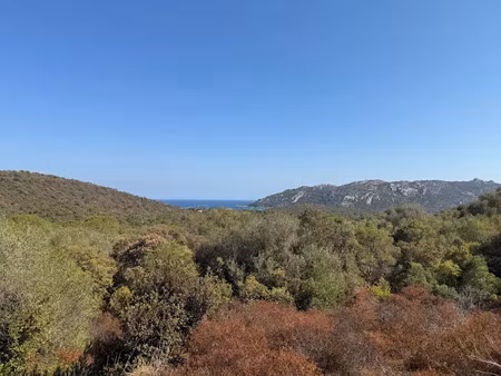 vente terrain 1440 m² à porto-vecchio (20137)  330 000 €