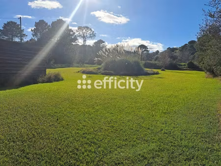 vente terrain 4023 m² à porto-vecchio (20137)  860 000 €