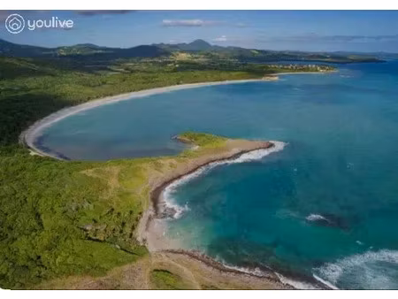 vente terrain à batir 10046 m² à le vauclin (97280)  850 000 €