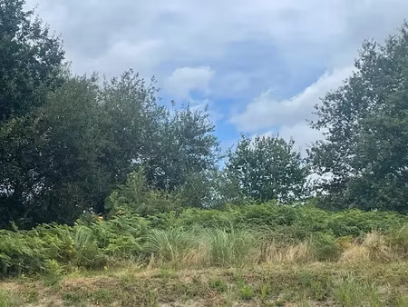 vente terrain 946 m² à seignosse (40510)  540 000 €