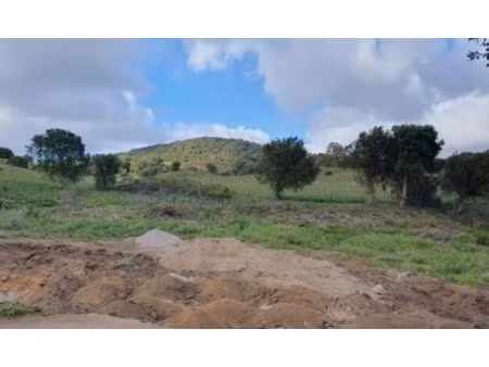 vente terrain 1000 m² à ajaccio (20000)  355 000 €