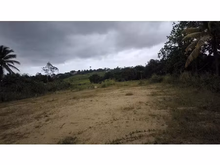 vente terrain 2900 m² à baie mahault (97122)  440 000 €