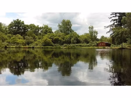 vente terrain 116 m² à compreignac (87140)  463 500 €