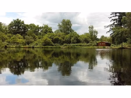 vente terrain 69662 m² à compreignac (87140)  463 500 €
