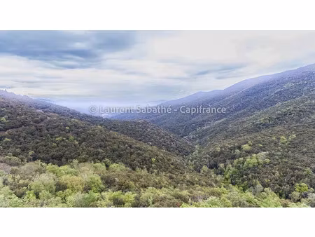 vente terrain 2400000 m² à glorianes (66320)  390 000 €