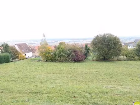 vente terrain à husseren-les-châteaux (68420)  923 620 €