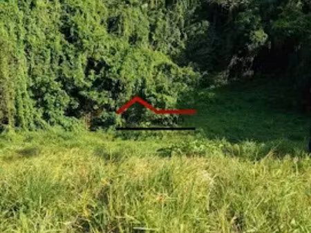 vente terrain 8256 m² à le robert (97231)  836 000 €