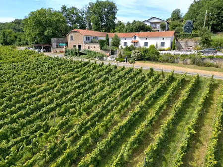 vente terrain à madiran (65700)  985 000 €