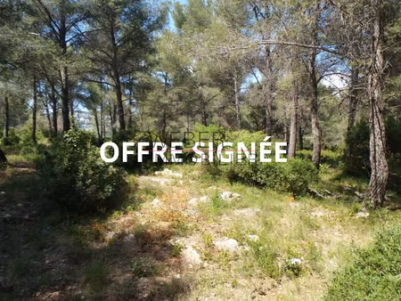 vente terrain 38000 m² à ollioules (83190)  472 500 €