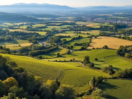 vente terrain 62232 m² à pau (64000)  2 973 190 €