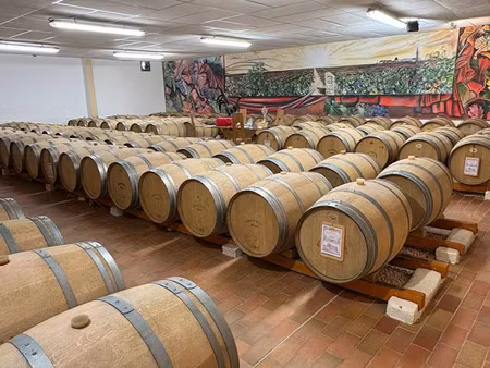 vente terrain 800 m² à pomerol (33500)  3 640 000 €