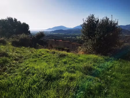 vente terrain à batir 1976 m² à bastelicaccia (20129)  389 000 €