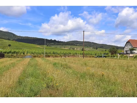 vente terrain 2067 m² à dambach-la-ville (67650)  500 000 €