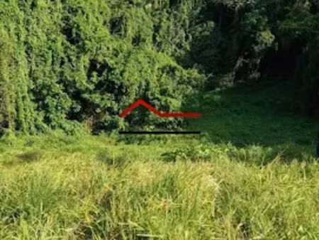vente terrain à batir 8256 m² à le robert (97231)  945 000 €