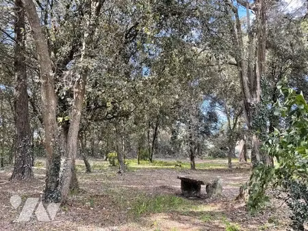 vente terrain à batir 2000 m² à l'epine (85740)  693 450 €