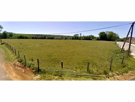 vente terrain à batir 17300 m² à saint-vit (25410)  650 000 €