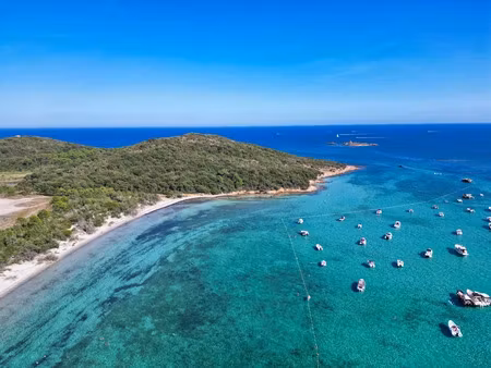 vente terrain 6050 m² à sainte lucie de porto vecchio (20144)  850 000 €