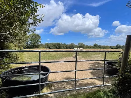 vente terrain 145935 m² à chateauneuf (85710)  470 000 €