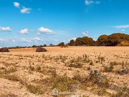 vente terrain 1628 m² à perpignan (66000)  370 000 €