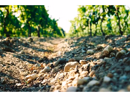 vente terrain 34471 m² à pomerol (33500)  6 042 000 €