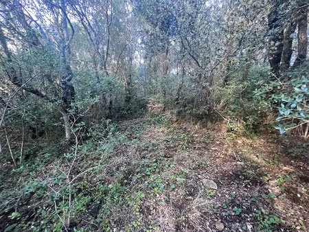 vente terrain 2058 m² à porto-vecchio (20137)  450 000 €