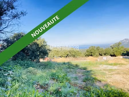 vente terrain à batir 2025 m² à calenzana (20214)  391 875 €