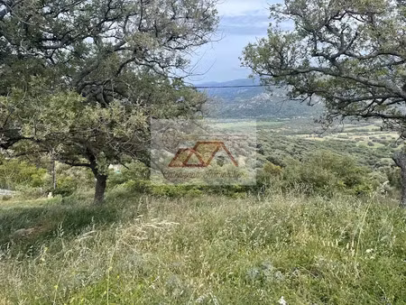 vente terrain à batir 2025 m² à calenzana (20214)  399 000 €