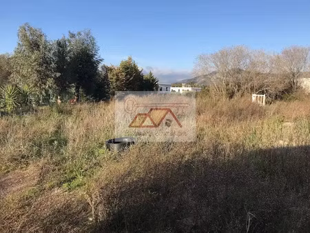 vente terrain à batir 2413 m² à calenzana (20214)  378 000 €