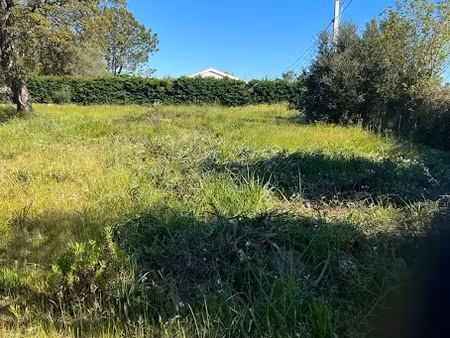 vente terrain 5000 m² à solaro (20240)  532 500 €