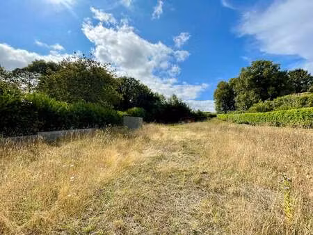 vente terrain à pluguffan (29700) : à vendre / 2803m² pluguffan