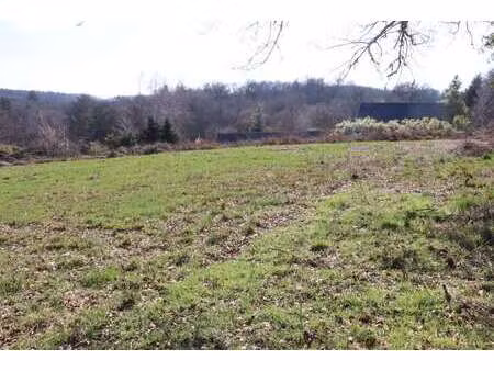 vente terrain à liginiac (19160) : à vendre / 2688m² liginiac