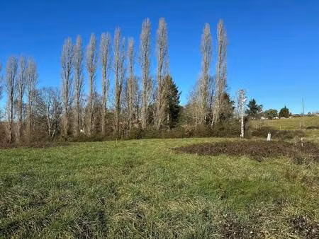 thieux louit véronique capifrance
