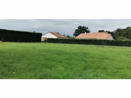 vente terrain 1100 m² à cognat-lyonne (03110)  46 200 €