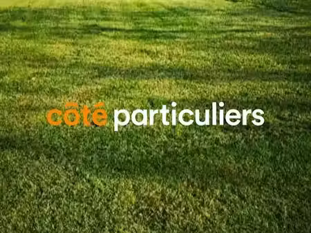 vente terrain 1677 m² à castelnau-d'estrétefonds (31620)  78 500 €