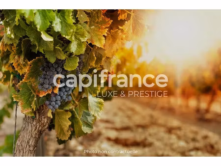 vente locaux professionnels 12 pièces 430 m² à cissac-médoc (33250)  1 050 000 €