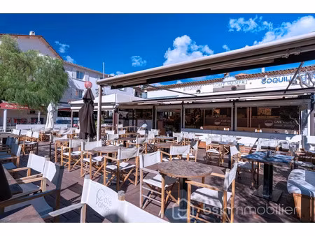 vente locaux professionnels à la croix-valmer (83420)  1 400 000 €