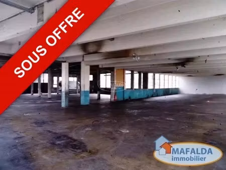 vente locaux professionnels 9 pièces 3600 m² à marnaz (74460)  840 000 €