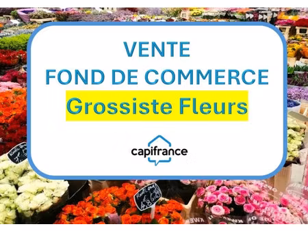 vente locaux professionnels 560 m² à biguglia (20620)  954 000 €