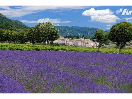 vente locaux professionnels à montelimar (26200)  1 100 000 €