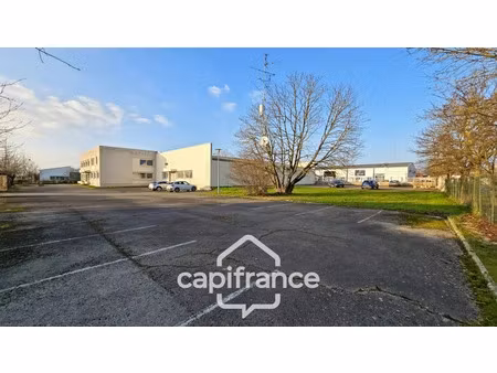 vente locaux professionnels 23 pièces 2009 m² à crissey (71530)  850 000 €