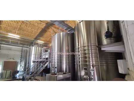 vente locaux professionnels 8 pièces 250 m² à duras (47120)  2 720 000 €