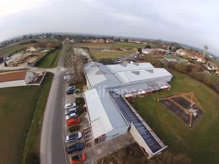 vente locaux professionnels 11 pièces 2400 m² à allériot (71380)  1 250 000 €