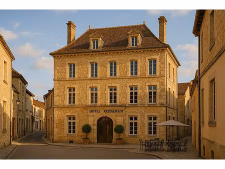 vente locaux professionnels 3000 m² à limoux (11300)  1 800 000 €