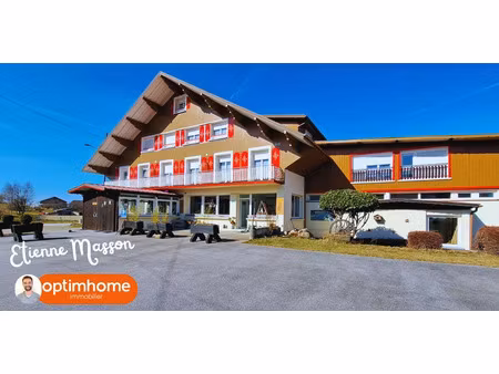 vente locaux professionnels 30 pièces 1537 m² à remiremont (88200)  796 000 €