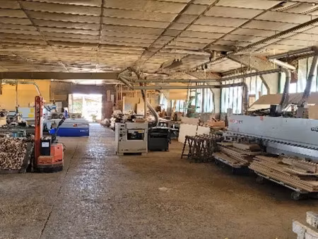 vente locaux professionnels 1300 m² à viriville (38980)  784 000 €