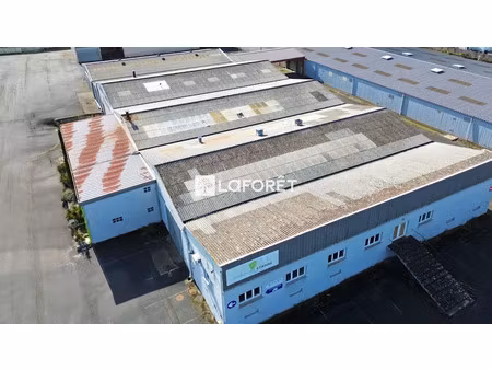 vente locaux professionnels 2775 m² à doué-en-anjou (49700)  1 254 000 €